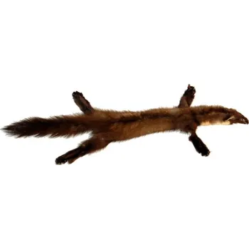 Přírodní kožešina KUBÁT | kuna | 00011