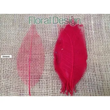 Vánoční dekorace Long listy skelet 25 ks červená