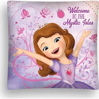 Dekorativní polštářek Detexpol Princezna Sofie první 40 x 40 cm