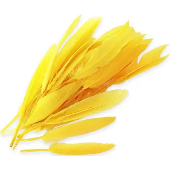Zahradní dekorace Peří brka S/25 žlutá (ZT-97696D/Y/25)