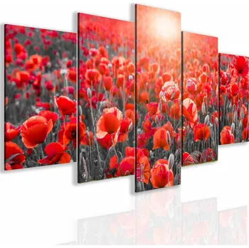 Obraz Malvis Pětidílný obraz maková fantazie Velikost: 150x75 cm