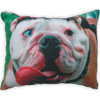 Polštář Polštář s potiskem M32 pes