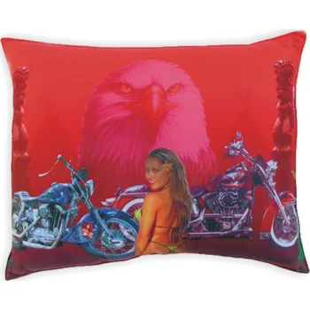 Polštář Polštář s potiskem M22 moto+orel
