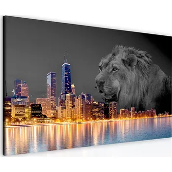 Obraz Malvis Obraz Král Velikost: 90x60 cm