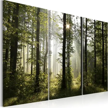 Obraz Malvis Lesní vítání Velikost: 90x60 cm