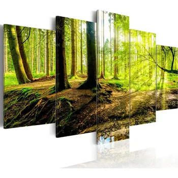 Obraz Malvis Vícedílný obraz - Lesní poezie Velikost: 180x90 cm
