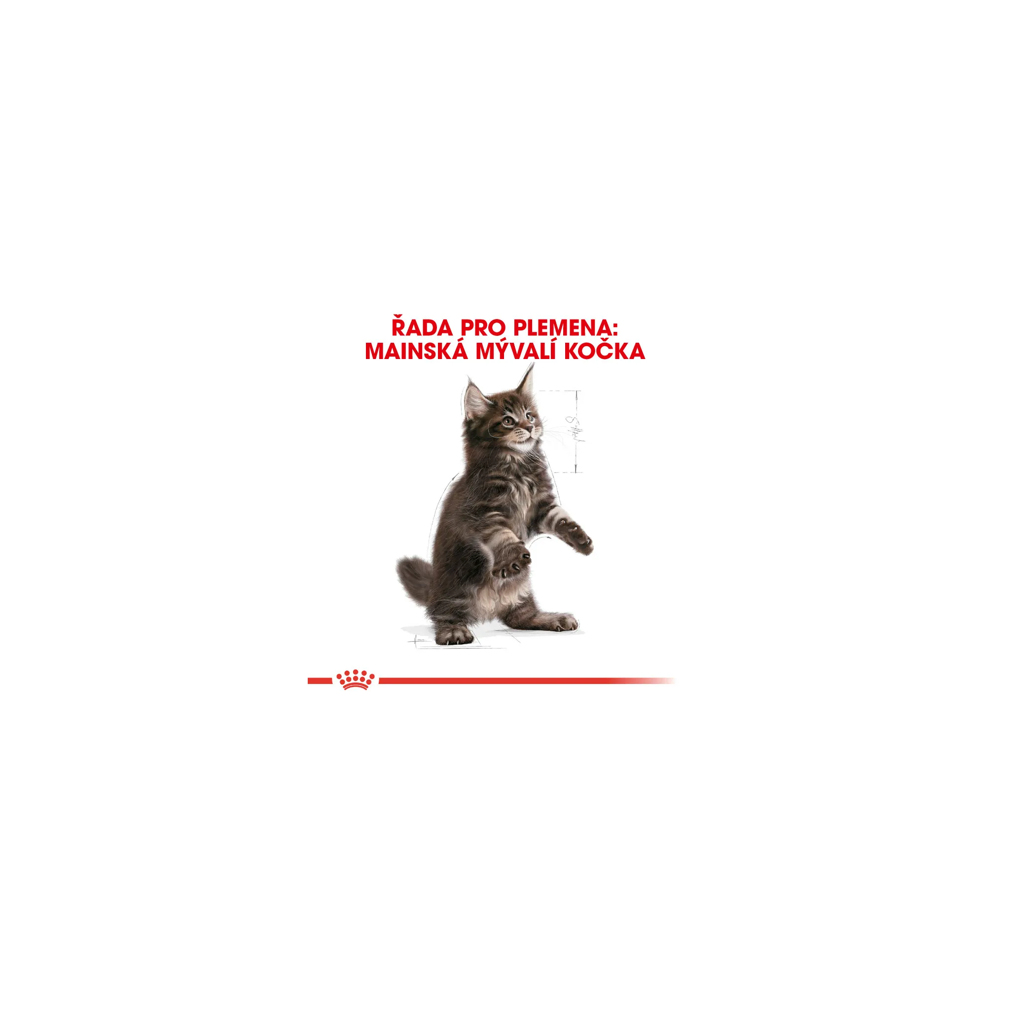 Fotografie 8 - Krmivo pro kočku Royal Canin Maine Coon Adult granule 10 kg