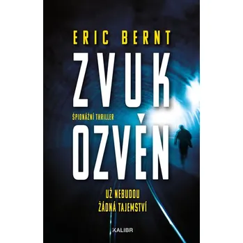 Zvuk ozvěn - Eric Bernt (2020, pevná s přebalem lesklá)