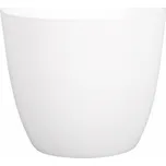 Nohel Garden Patricie 11 cm