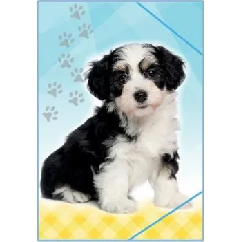 desky na sešit Desky A4 školní s gumou Pes