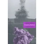 Ctnosti a neřesti: Sochařská elegie - Dušan Šimko (2018, brožovaná bez přebalu lesklá)