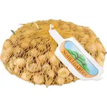 Nohel Garden Všetana cibule sazečka 500…