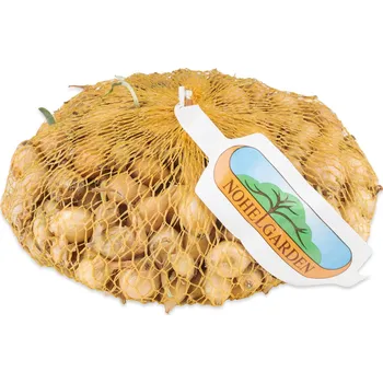 Cibulovina Nohel Garden Všetana cibule sazečka 500 g