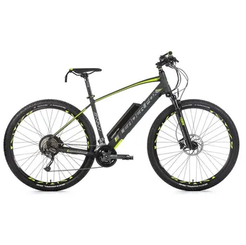 Leader Fox Swan 29" šedé mat/zelené