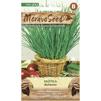Semeno MoravoSeed Pažitka Bohemia 1000 ks