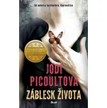 Záblesk života - Jodi Picoultová (2019,…