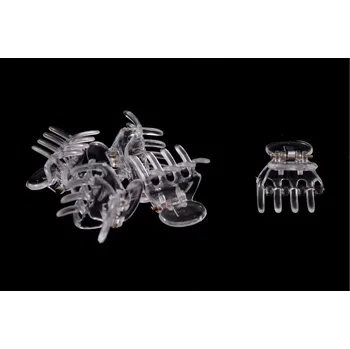 skřipce čiré Množství: 5 ks