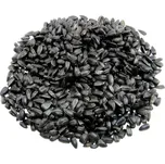 Biokron s.r.o. Slunečnice černá