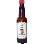 Salvia Paradise Kombucha násada