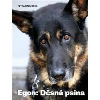 Egon: Děsná psina - Petra Baďurová (2019, brožovaná)