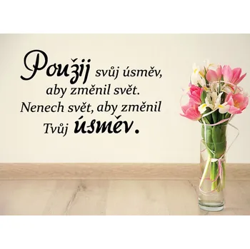 Samolepící dekorace Samolepky na zeď - Nápis - Použij úsměv - M (60 x 37 cm)