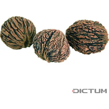 Hudební nástroj Dictum 831040 - Black Walnut - Materiál