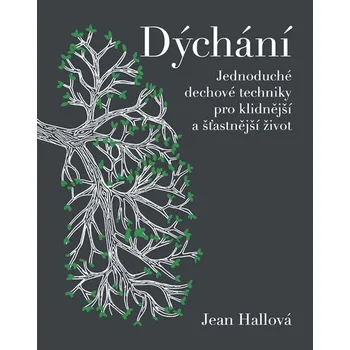Recenze Dýchání: Jednoduché dechové techniky pro klidnější a šťastnější život - Jean Hallová (2019, pevná bez přebalu lesklá)