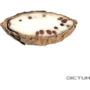 Hudební nástroj Dictum 832200 - Thika Nut, South Africa - Materiál