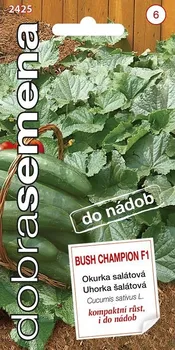 Semeno Dobrá semena Okurka salátová Bush Champion F1 10 s