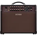 Boss Acoustic Singer Pro