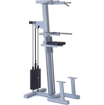 Posilovací lavice FITHAM Hrazda a bradla s dopomocí