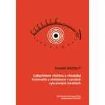 Labyrintem zločinu a chudoby - Brizolit (2019, brožovaná)