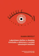 Labyrintem zločinu a chudoby - Brizolit (2019, brožovaná)
