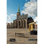Pilsen: Ein kunstgeschichtlicher Rundgang durch die westböhmische Metropole - František Frýda, Jan Mergl [DE] (2015, pevná)