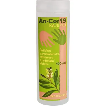 Day Spa An-cor19 100 ml