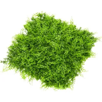 umělá květina Umělá zelená stěna mix kapradí a juniperus 50x50cm - Do interiéru a exteriéru