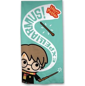 Aymax Osuška Harry Potter Expelliarmus 70x140 cm