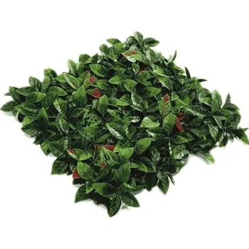 umělá květina Umělá zelená stěna Photinia 50x50cm - Do interiéru a exteriéru