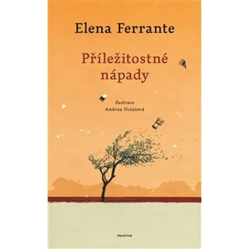 Příležitostné nápady - Elena Ferrante (2020, brožovaná)