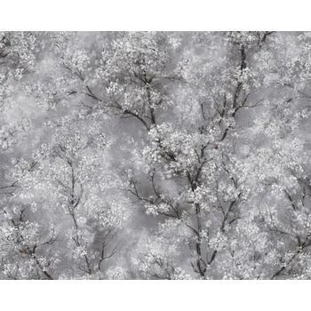 Tapeta Vliesová tapeta Strom, větve, květy, barva šedá, černá, bílá, 374201 / Tapety na zeď 37420-1 New Walls (0,53 x 10,05 m) A.S.Création