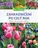 kniha Zahradničení po celý rok: Krásná zahrada od jara do zimy - Erika Börnerová (2020, pevná bez přebalu lesklá)