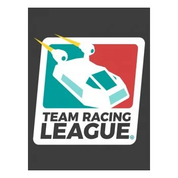 Počítačová hra ESD Team Racing League