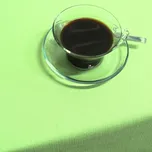 Teflonový ubrus Gastro Prestige – zelený 140x240