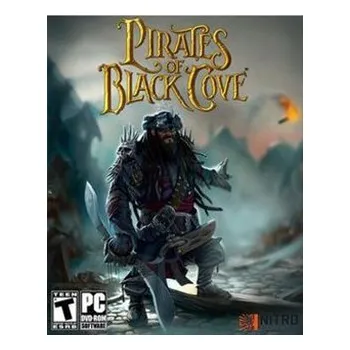 Počítačová hra ESD Pirates of Black Cove