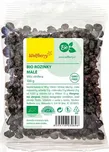Wolfberry rybíz BIO 100 g