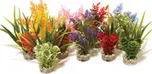 Sydeco Nano Fiesta Plants 14 cm
