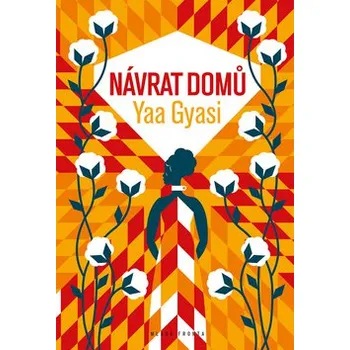 Návrat domů - Yaa Gyasi