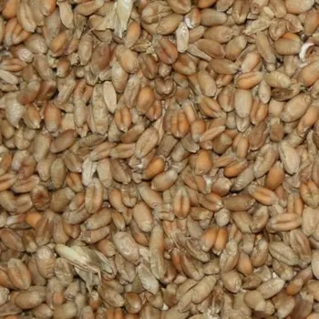 Krmivo pro hlodavce Pšenice 5kg