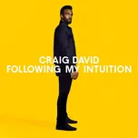 Following My Intuition - David Craig…