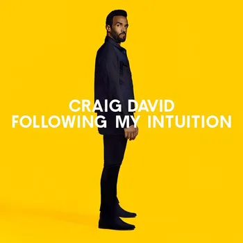 Zahraniční hudba Following My Intuition - David Craig [CD]
